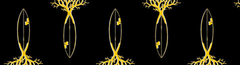 Dazzling Blue #86: The Roots of the Surfboard
