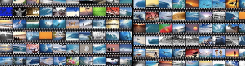 Dazzling Blue #117: Iconic Pipeline with Photographer Sean Davey