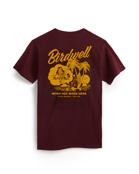 The Daydreamin Birdie T-Shirt in burgundy is a garment-dyed, heavyweight tee featuring a yellow back graphic of a woman lounging in a hammock between palm trees and clouds, with “Birdwell” above and “Wish You Were Here” below. 100% cotton comfort.