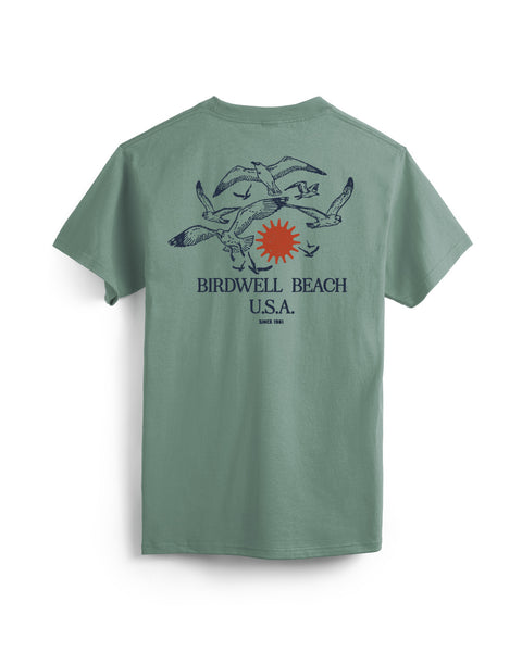The Tourist Pocket T-Shirt - Atlantic Green is a heavyweight, light green tee with a back graphic of flying birds, a red sun, and 
