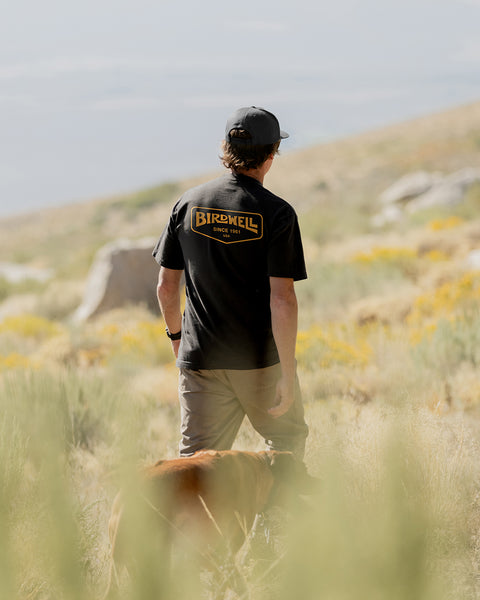 Wearing a black Service T-Shirt, a person walks with a brown dog through a grassy, sunlit field filled with wildflowers, hills rising in the background.