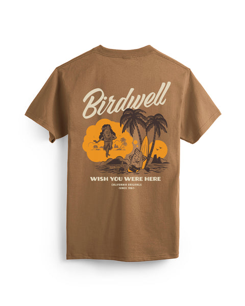 The Daydreamin' Birdie T-Shirt - Brown is a heavyweight cotton tee with a relaxed fit, featuring a beach scene with a woman and surfboard, palm trees, sunset, 